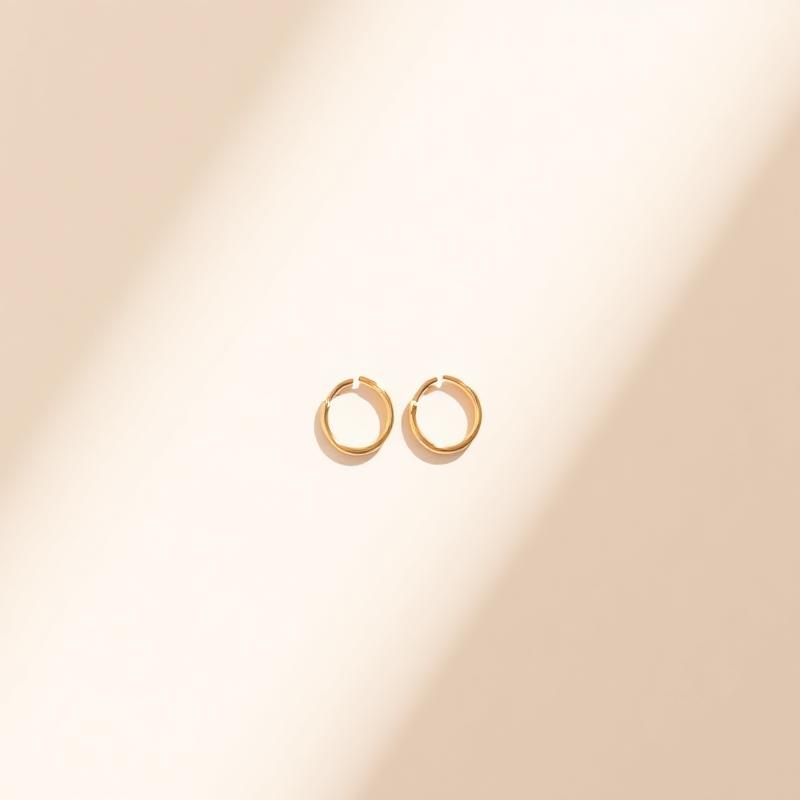 Petite Hoop Earrings